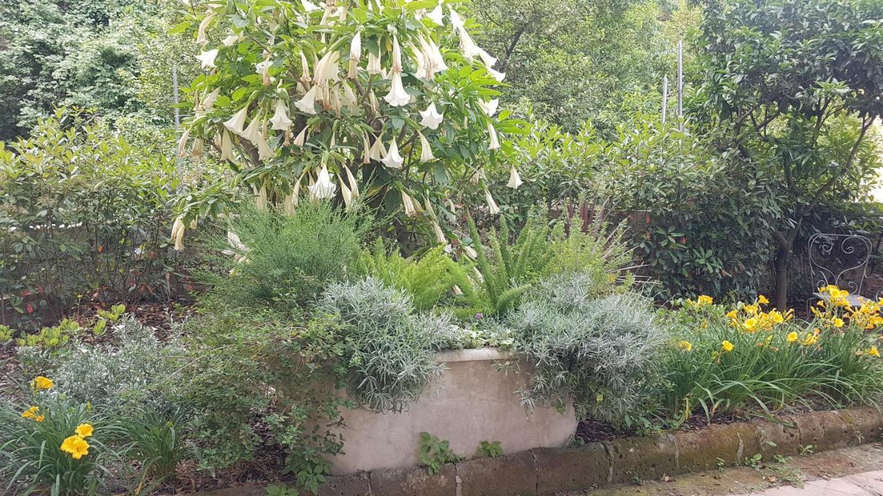 Dimora Storica "Le Stanze Di Dioniso" Vila Nápoles Exterior foto